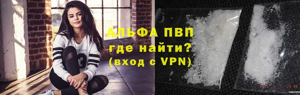 стаф Белокуриха
