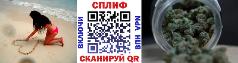 OMG tor  как найти закладки  Эртиль  Бошки Шишки SATIVA & INDICA 